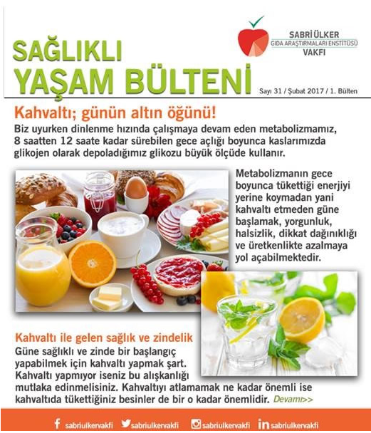 Bülten Sayı: 31