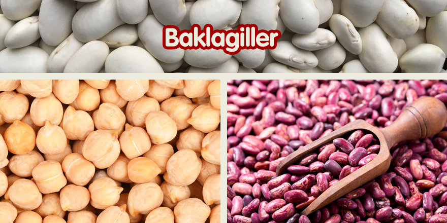 Baklagiller