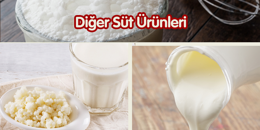 Diğer Süt Ürünleri